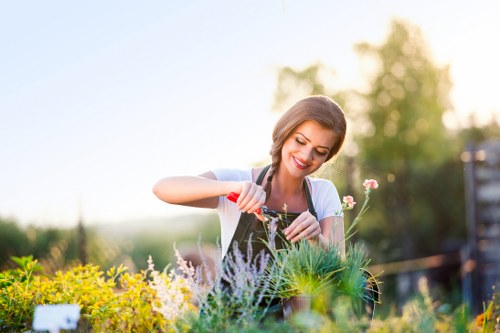 Keyboard navigation and inclusive web design for Beckton gardeners