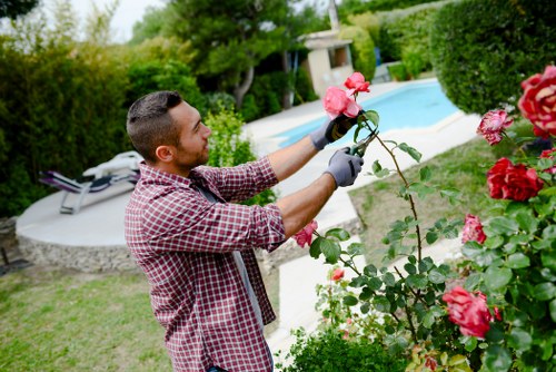 Garden maintenance in Beckton with tidy lawn and planted borders