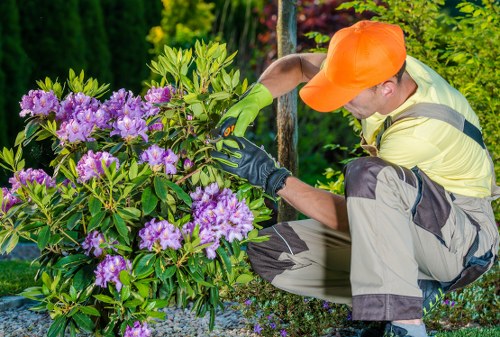 Screen-reader friendly website content for Gardeners Beckton