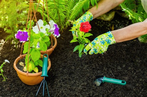 Gardeners Beckton creating a balanced and practical garden layout