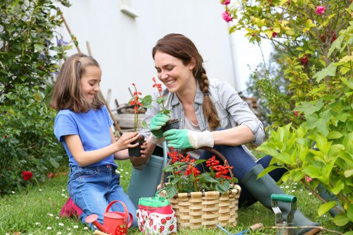 Healthy lawn care in Beckton with neatly cut grass
