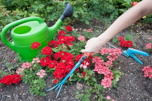 Accessibility support and usability improvements for local gardening pages