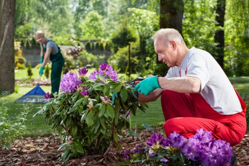 Lawn care and hedge trimming by Beckton gardeners