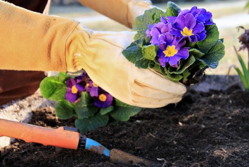 Regular gardening services in Beckton for healthy lawns and borders