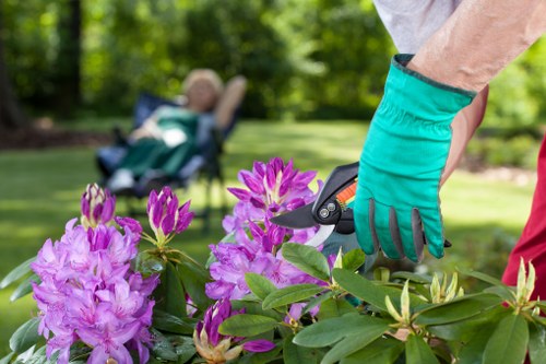 Low-carbon van used for sustainable gardening work in Beckton