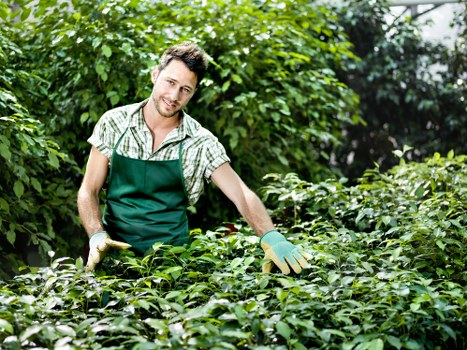 Inclusive browsing experience for Gardeners Beckton visitors