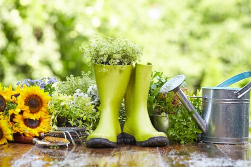 Soft planting and year-round greenery in a Beckton garden