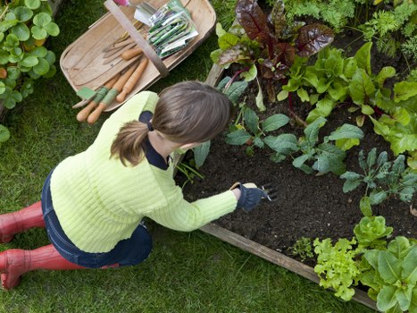 Professional garden clearance restoring a tidy outdoor space in Beckton