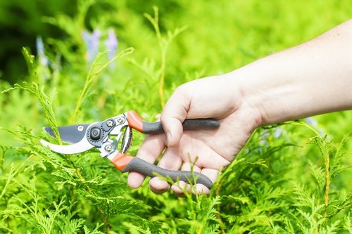 Professional gardening safety policy focused on risk control and wellbeing