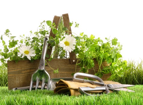 Well-kept Beckton garden after regular maintenance work