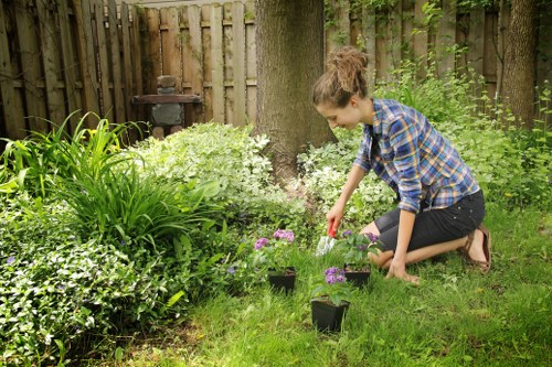 Seasonal hedge cutting and shaping in Beckton