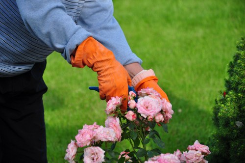 Booking and quotation details for garden services