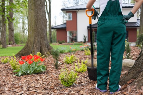Beckton gardening services maintaining healthy plants and lawns