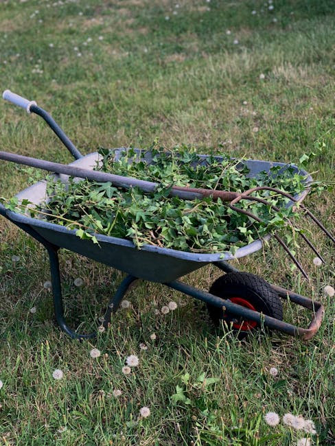 Beckton garden maintenance price comparison avoid hidden charges