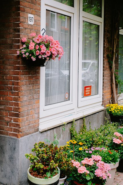A close-up view of a small front garden in Beckton, featuring a white-framed window with sheer curtains, set within a brick exterior wall. To the left of the window, a hanging basket filled with vibra